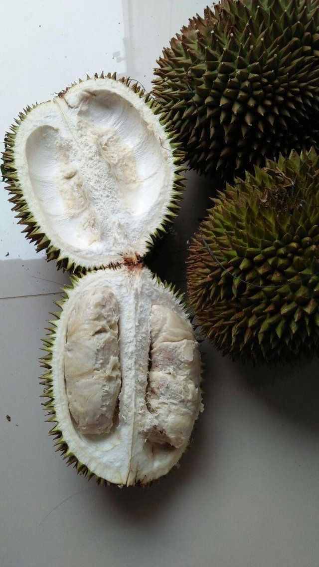 Detail Foto Buah Durian Nomer 21