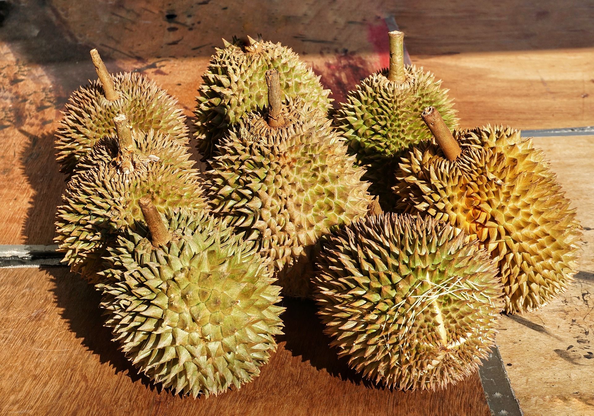 Detail Foto Buah Durian Nomer 25