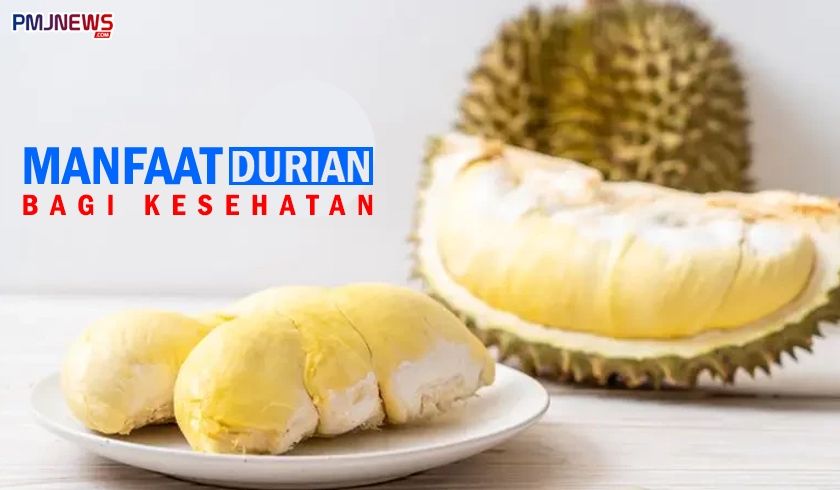 Detail Foto Buah Durian Nomer 37