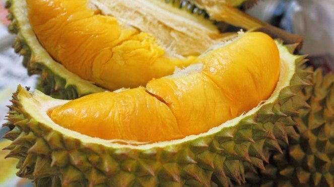 Detail Foto Buah Durian Nomer 39