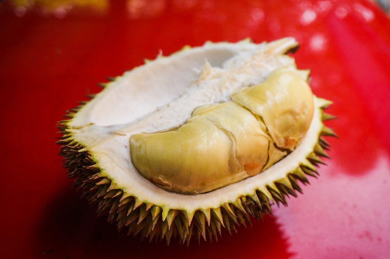 Detail Foto Buah Durian Nomer 46