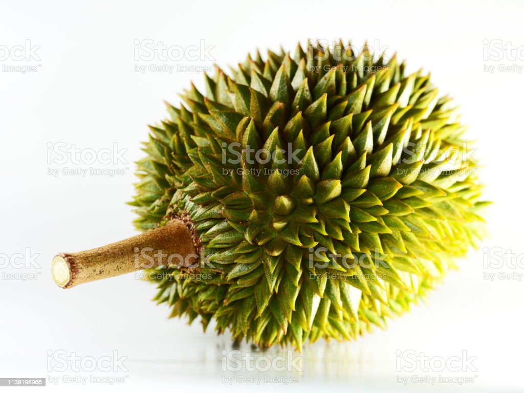 Detail Foto Buah Durian Nomer 47