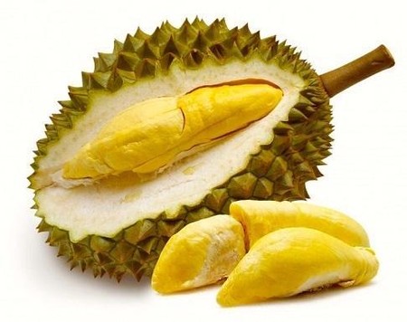 Detail Foto Buah Durian Nomer 49