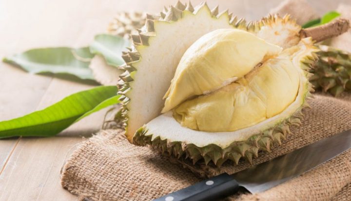 Detail Foto Buah Durian Nomer 50