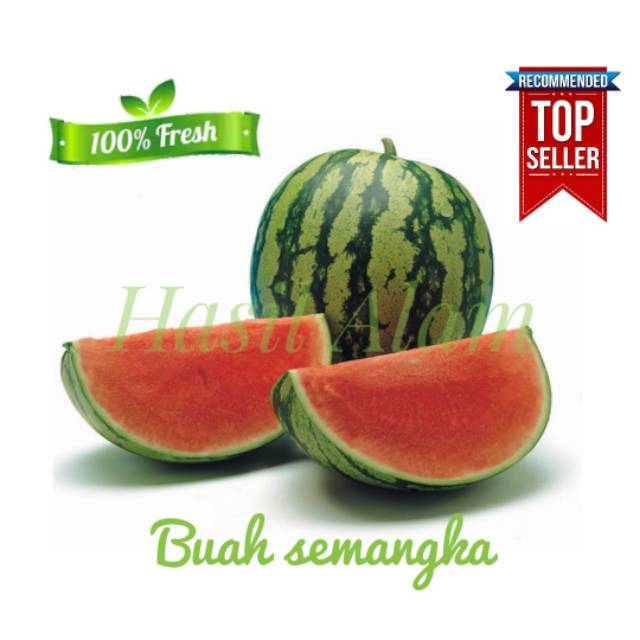 Detail Foto Buah Semangka Segar Nomer 43