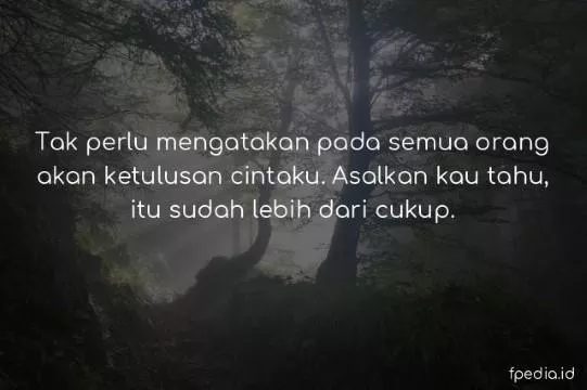 Detail Foto Buat Editor Nomer 43
