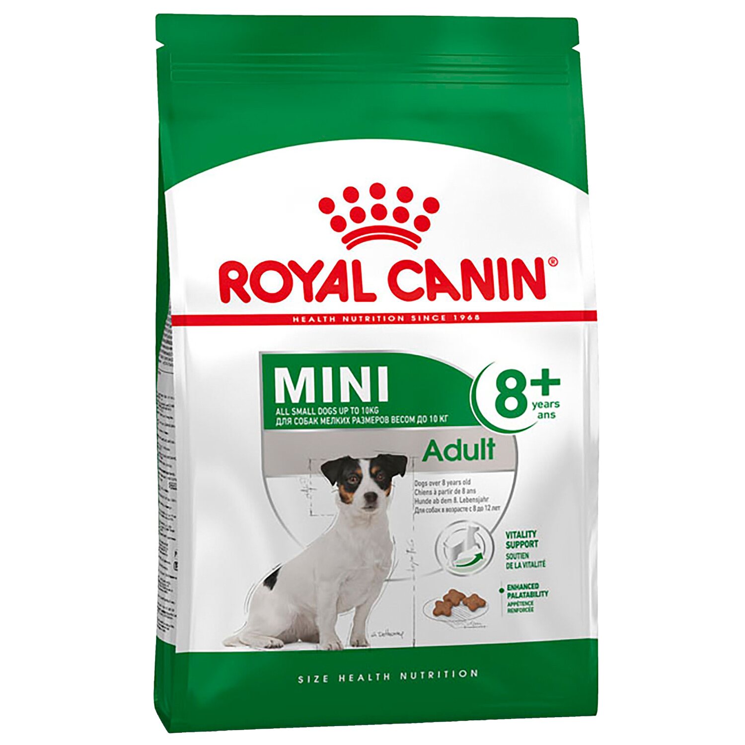 Detail Hundefutter Chihuahua Welpen Nomer 14