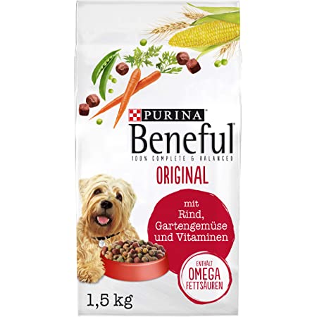 Detail Hundefutter Chihuahua Welpen Nomer 28