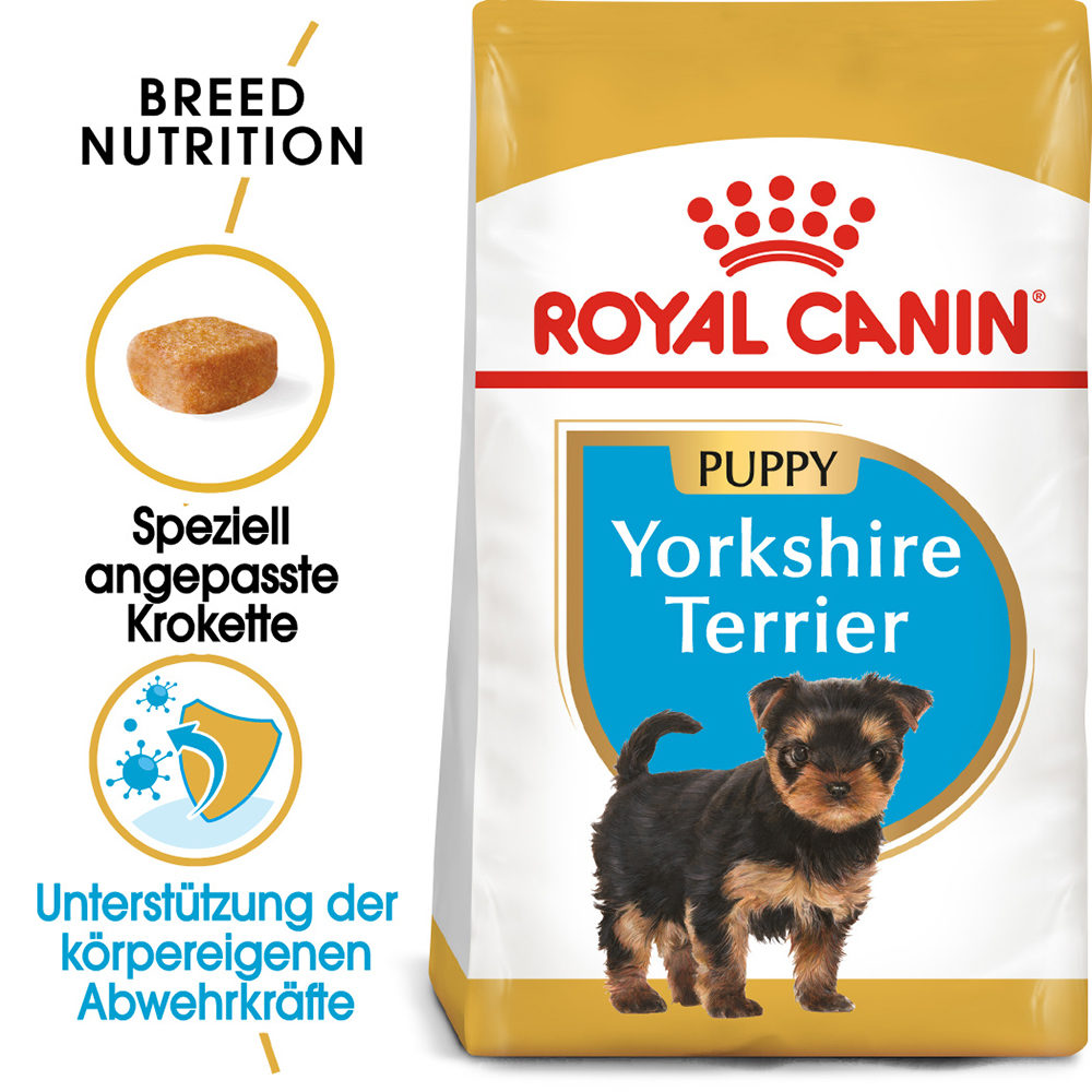 Detail Hundefutter Chihuahua Welpen Nomer 6