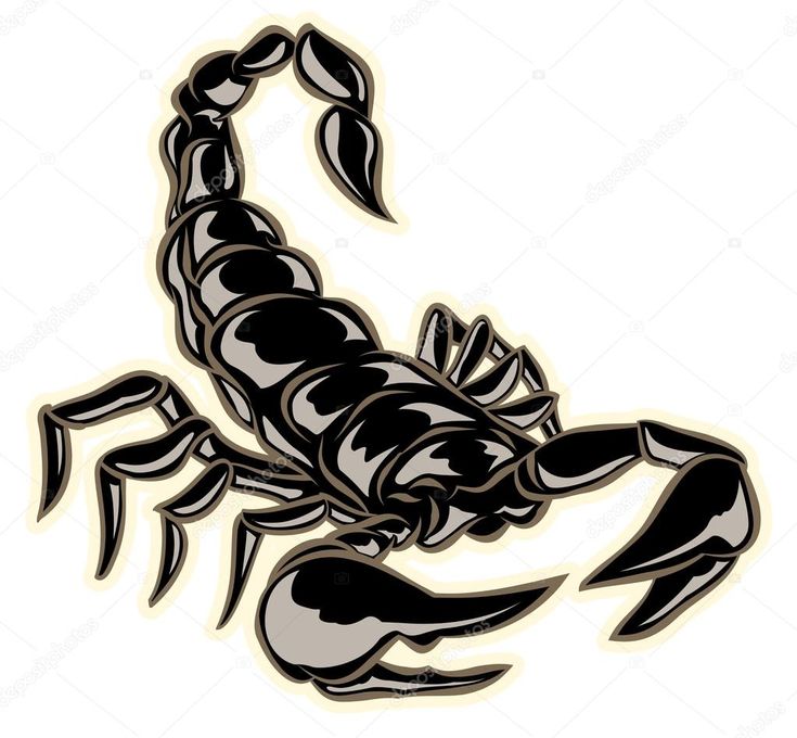 Detail Skorpion Sternzeichen Tattoo Vorlage Nomer 20