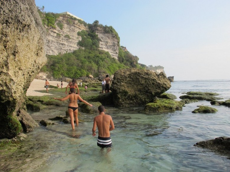 Detail Foto Bule Di Pantai Kuta Bali Nomer 22