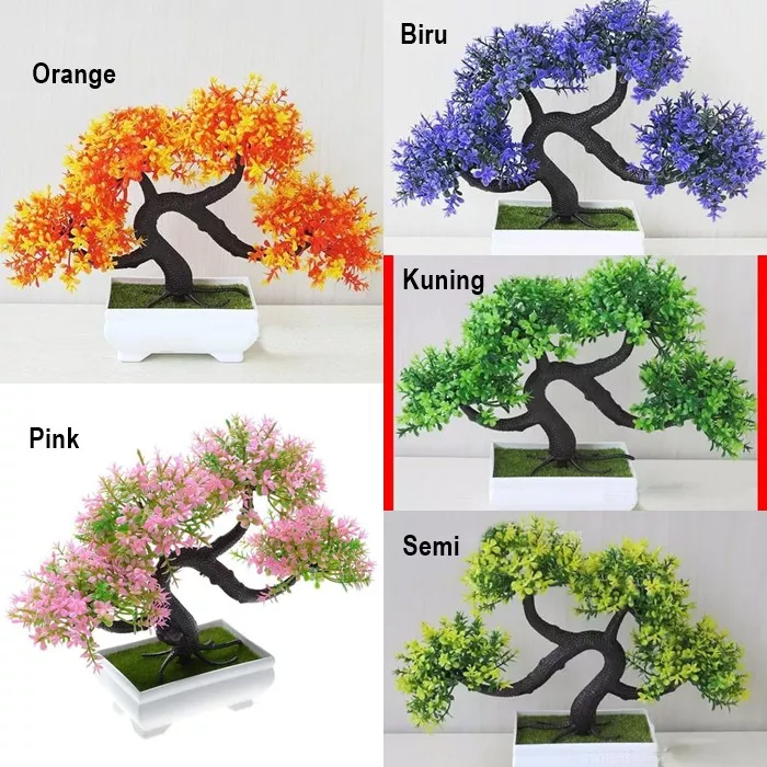 Detail Foto Bunga Bonsai Nomer 42