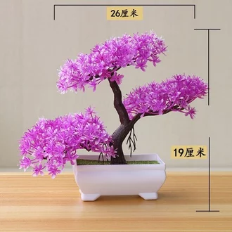 Detail Foto Bunga Bonsai Nomer 53