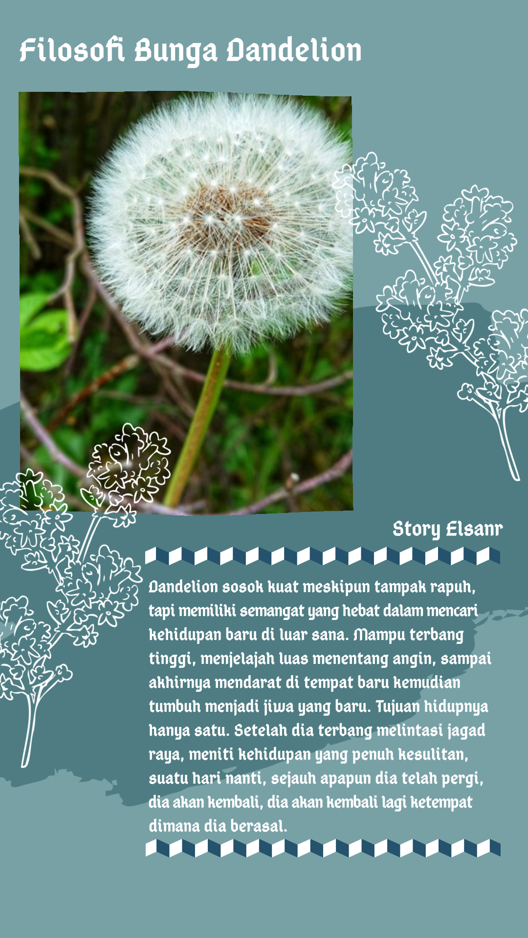 Detail Foto Bunga Dandelion Nomer 5