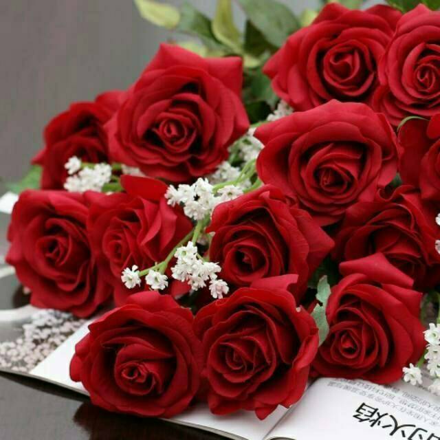 Detail Foto Bunga Mawar Merah Nomer 17