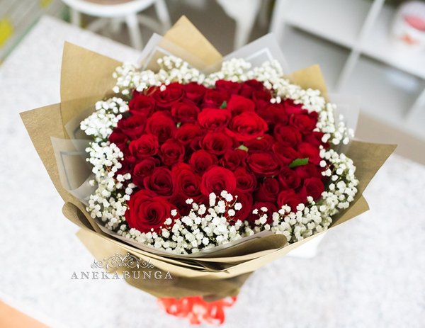 Detail Foto Bunga Mawar Merah Nomer 30