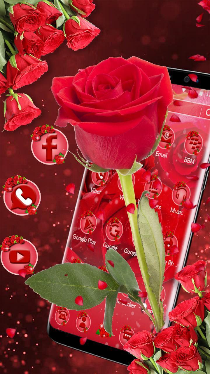 Detail Foto Bunga Mawar Merah Nomer 33