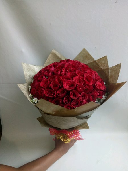 Detail Foto Bunga Mawar Merah Nomer 44