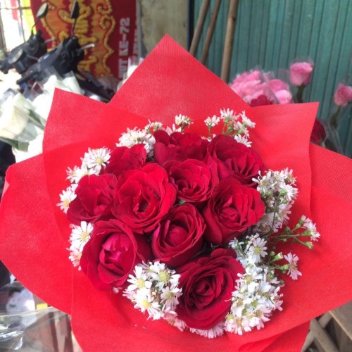Detail Foto Bunga Mawar Merah Asli Nomer 26