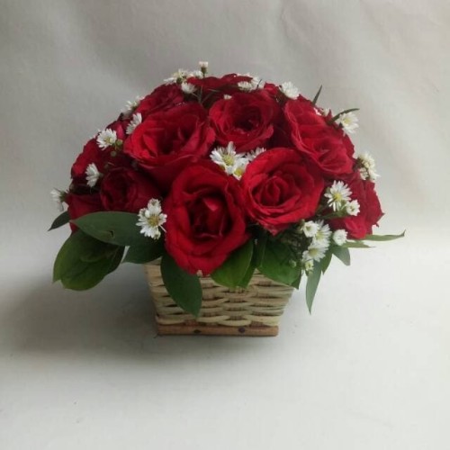 Detail Foto Bunga Mawar Merah Asli Nomer 47