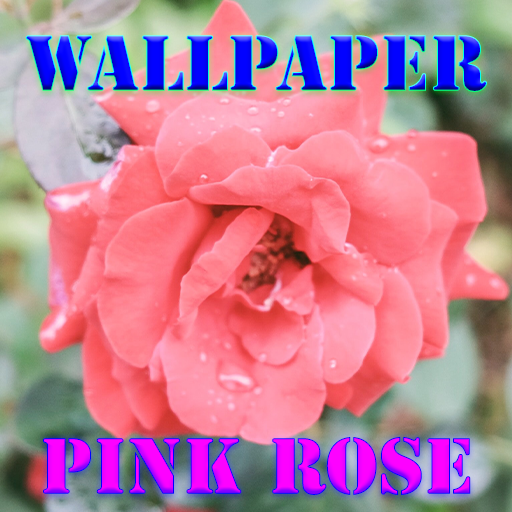 Detail Foto Bunga Mawar Pink Wallpaper Nomer 33