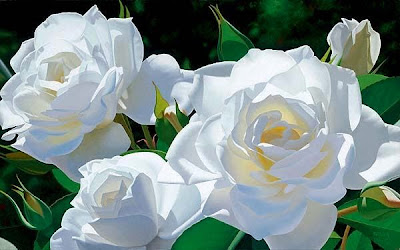 Detail Foto Bunga Mawar Putih Nomer 48