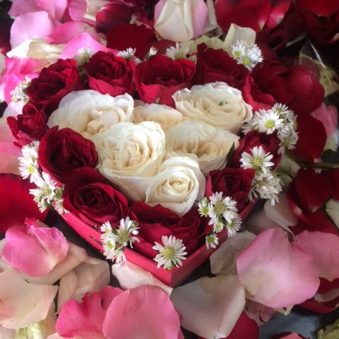 Detail Foto Bunga Mawar Yang Cantik Nomer 24