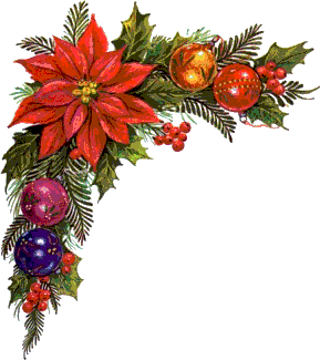 Detail Foto Bunga Natal Nomer 19