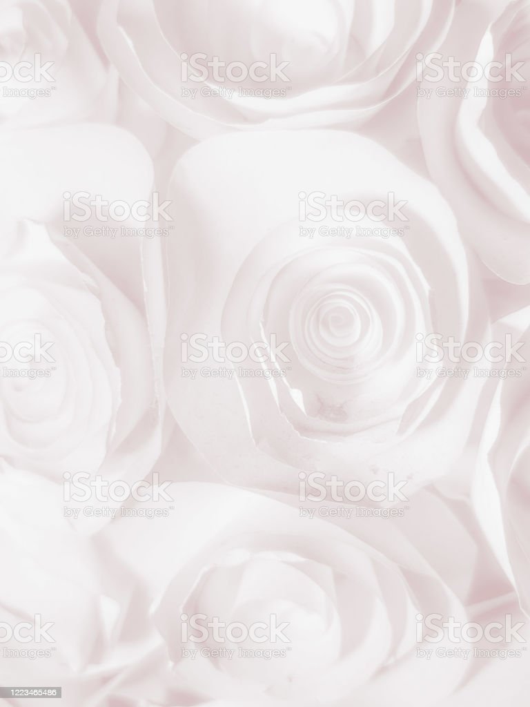 Detail Foto Bunga Putih Nomer 21