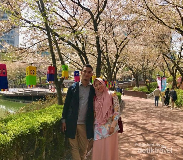 Detail Foto Bunga Sakura Di Korea Selatan Nomer 23