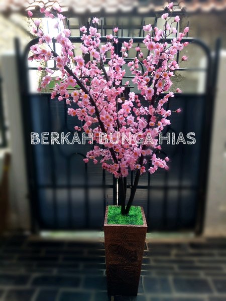 Detail Foto Bunga Sakura Pink Nomer 48