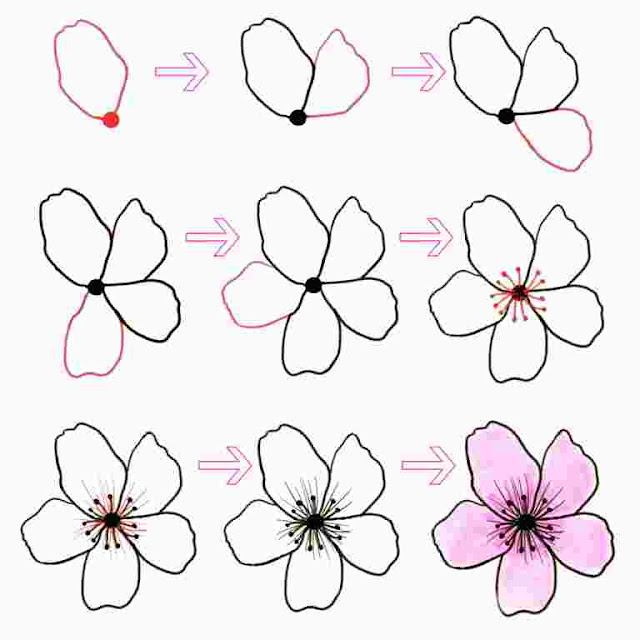 Detail Foto Bunga Sakura Yang Mudah Digambar Nomer 13