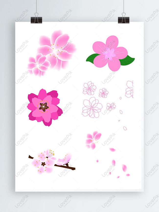 Detail Foto Bunga Sakura Yang Mudah Digambar Nomer 30