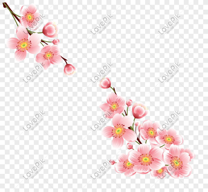 Detail Foto Bunga Sakura Yang Mudah Digambar Nomer 32