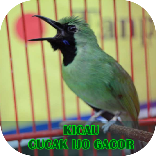 Detail Foto Burung Cucak Ijo Nomer 45