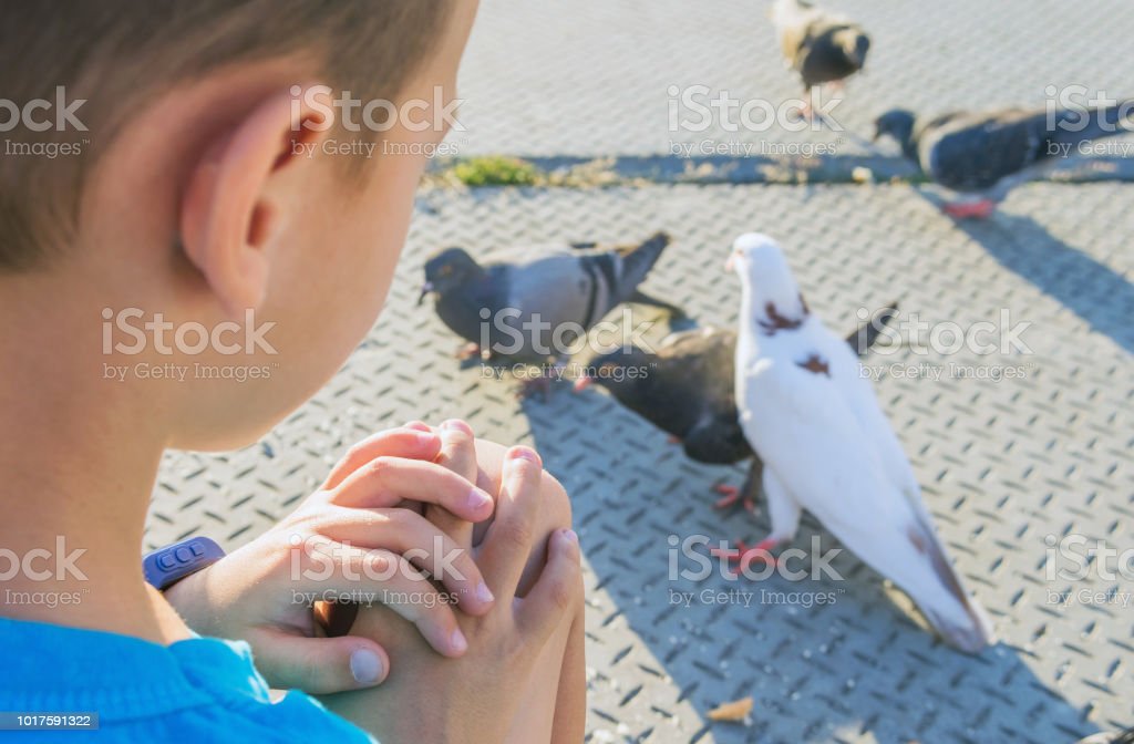 Detail Foto Burung Laki Laki Nomer 47