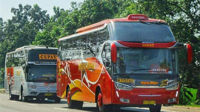 Detail Foto Bus Jawa Nomer 42