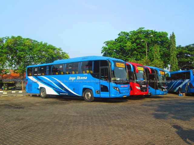 Detail Foto Bus Jaya Utama Nomer 28