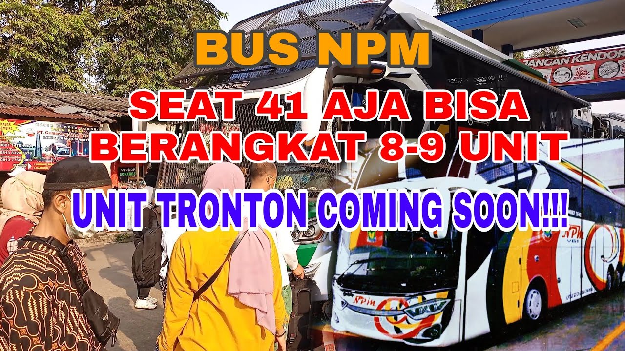 Detail Foto Bus Npm Nomer 37