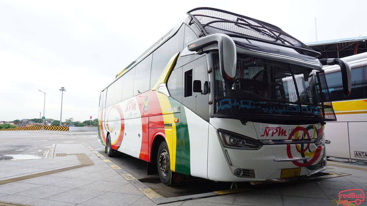 Detail Foto Bus Npm Nomer 40