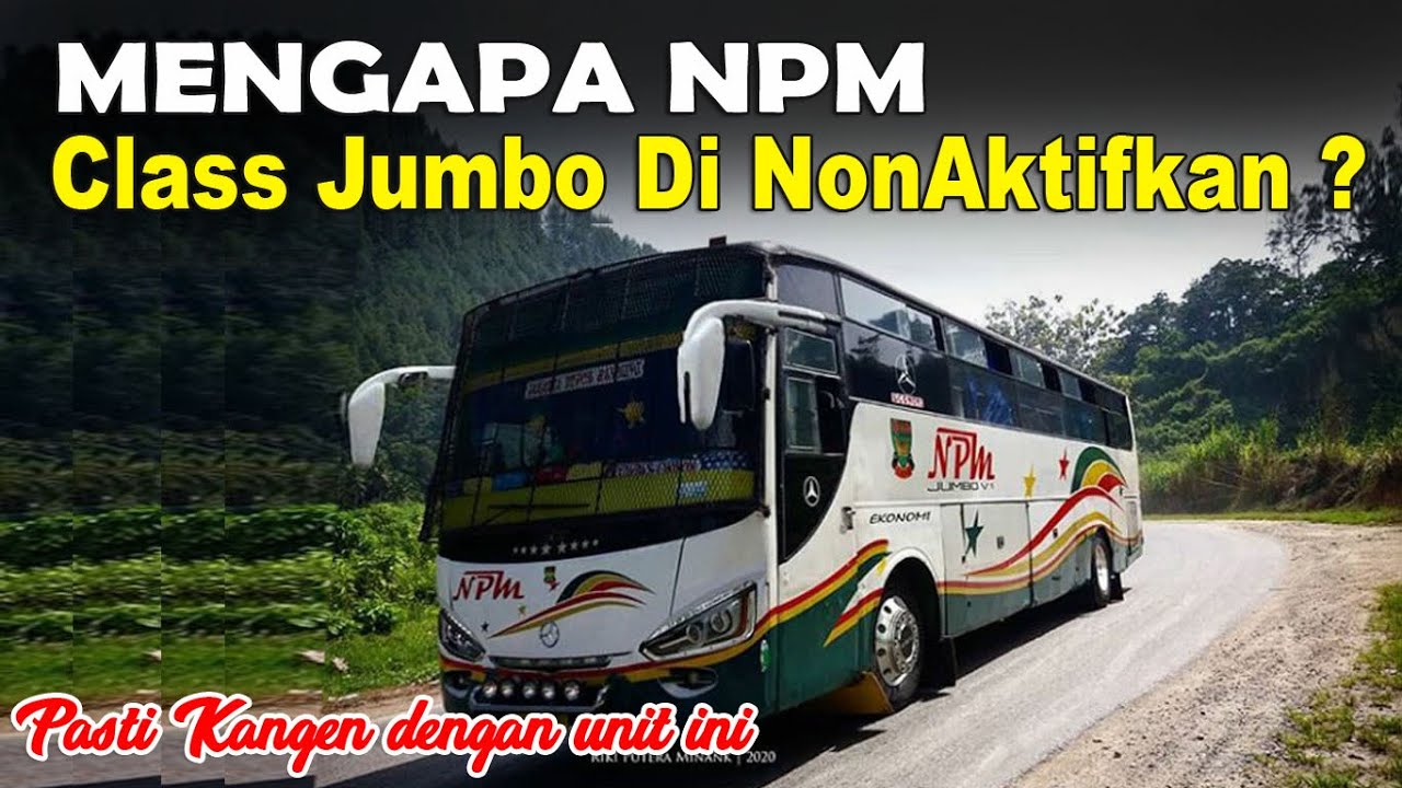 Detail Foto Bus Npm Nomer 41