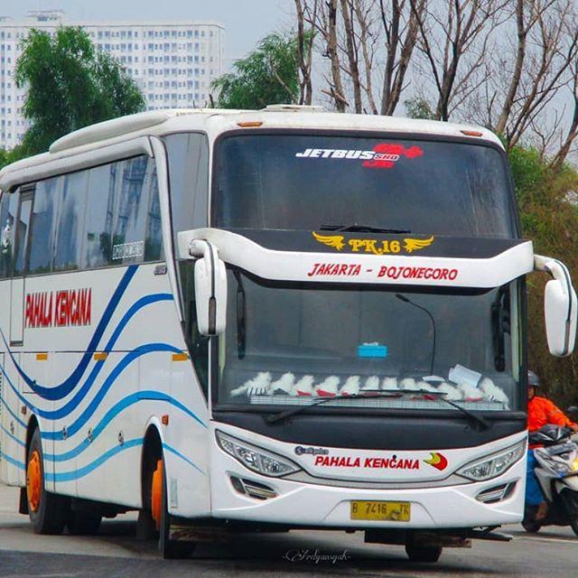 Detail Foto Bus Pahala Kencana Nomer 17