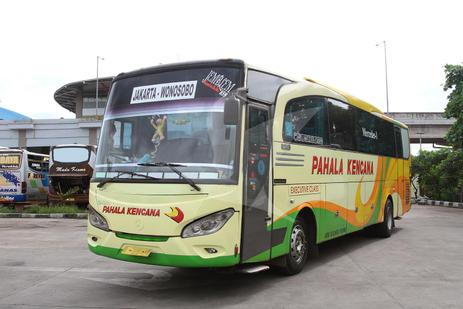 Detail Foto Bus Pahala Kencana Nomer 24