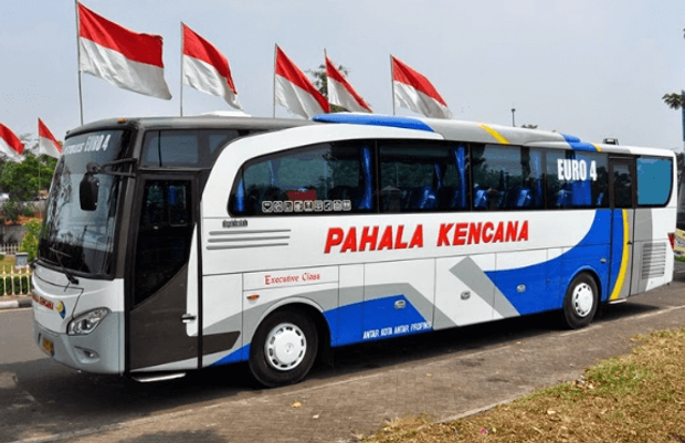 Detail Foto Bus Pahala Kencana Nomer 3