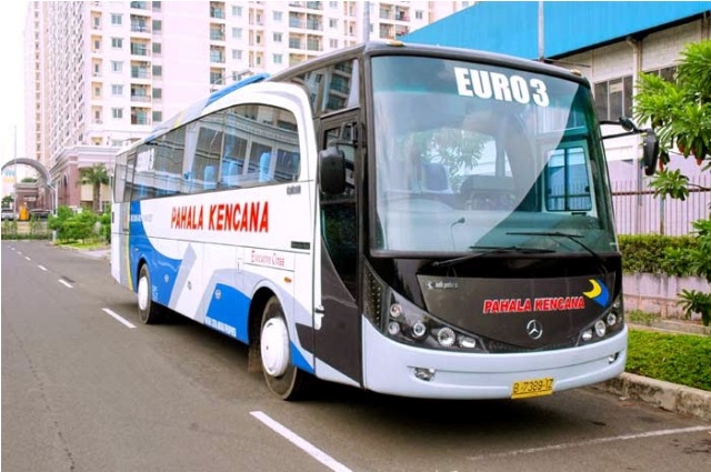 Detail Foto Bus Pahala Kencana Nomer 43