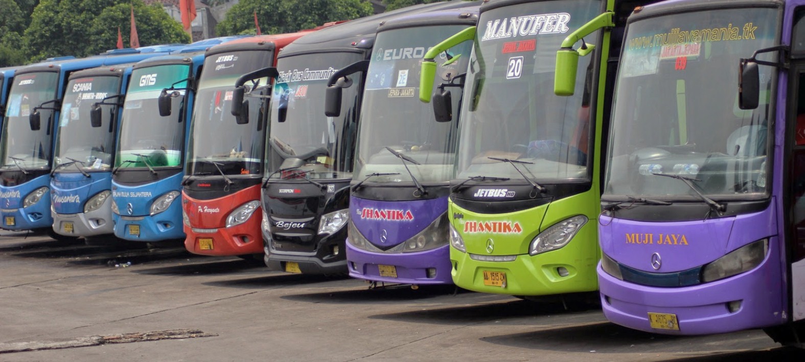 Detail Foto Bus Pariwisata Nomer 29