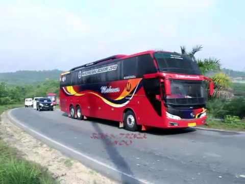 Foto Bus Sumatra - KibrisPDR
