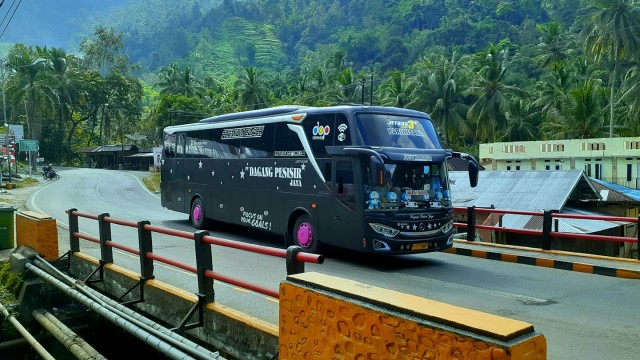 Detail Foto Bus Sumatra Nomer 10