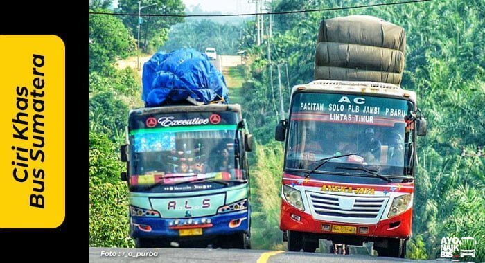 Detail Foto Bus Sumatra Nomer 5