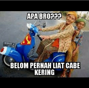 Detail Foto Cabe Cabean Lucu Nomer 44